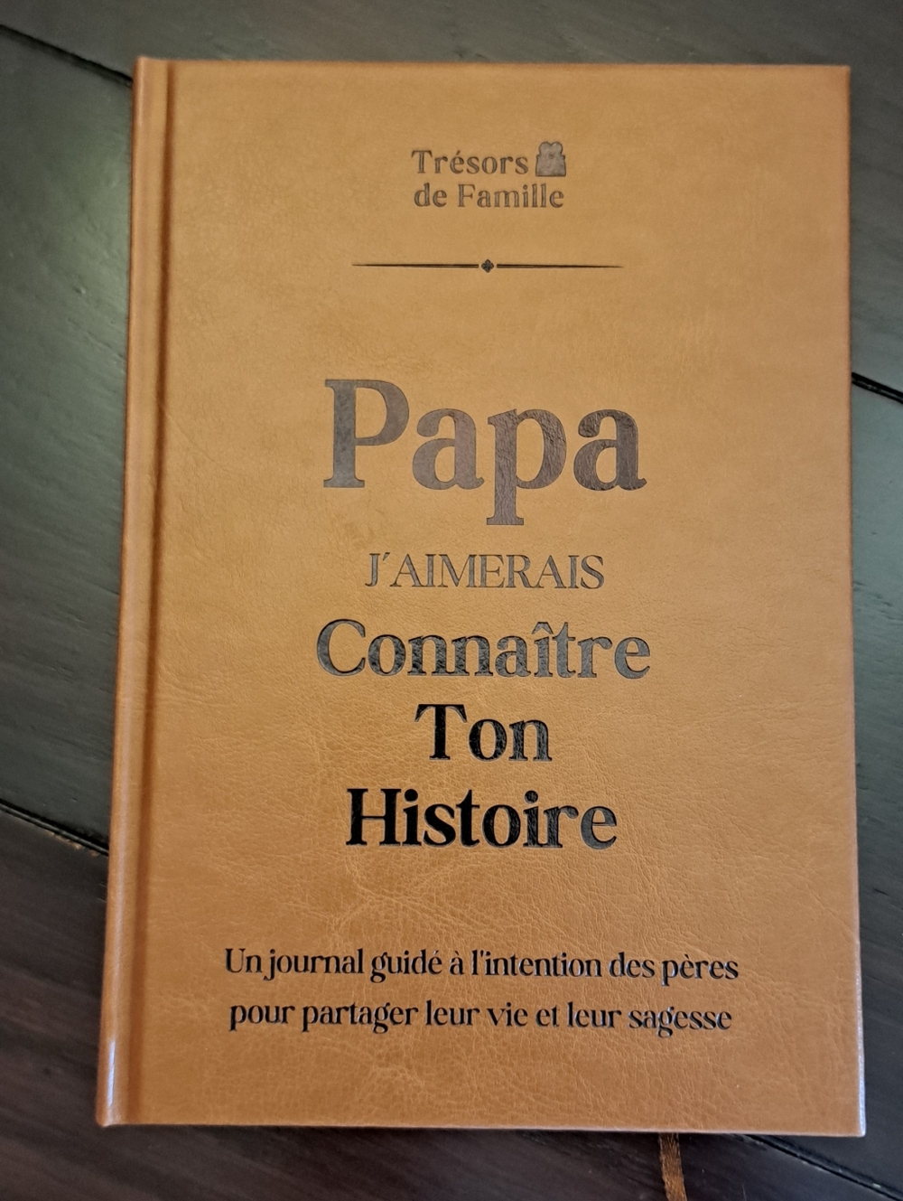 Papa J'aimerais Connaître Ton Histoire - JOURNAL